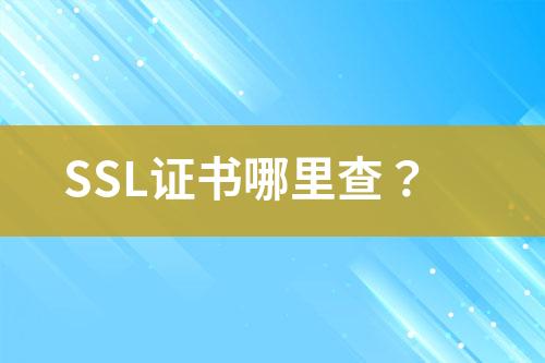 SSL證書哪里查？