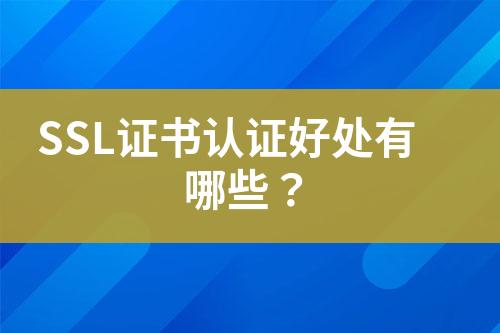 SSL證書(shū)認(rèn)證好處有哪些？