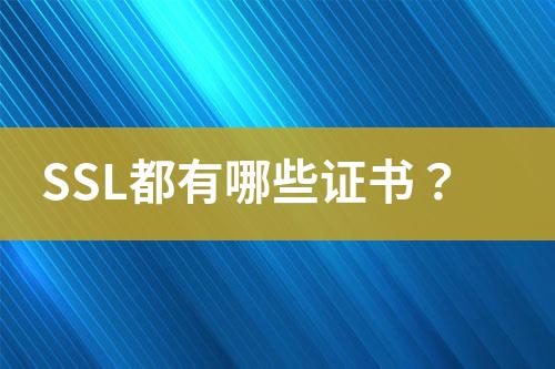 SSL都有哪些證書？