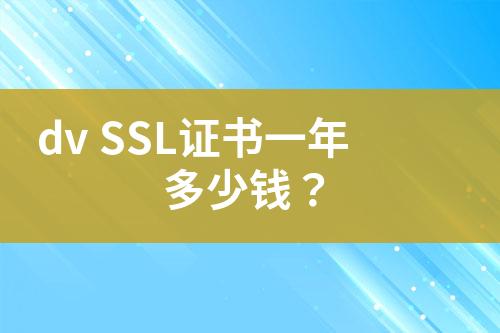 dv SSL證書一年多少錢？