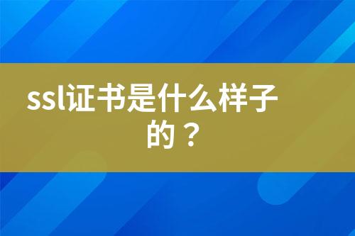 ssl證書是什么樣子的？