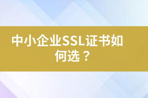 中小企業(yè)SSL證書如何選？