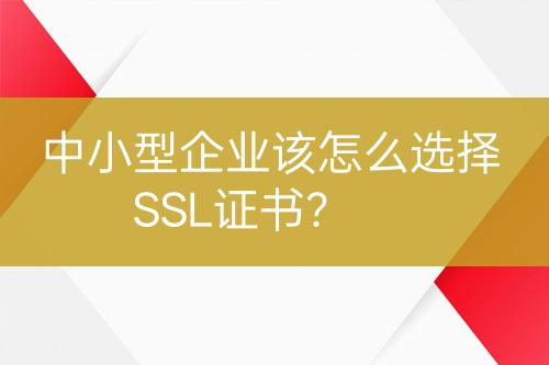 中小型企業(yè)該怎么選擇SSL證書？