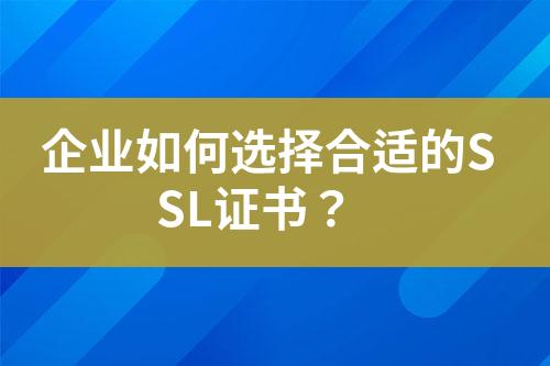 企業(yè)如何選擇合適的SSL證書？