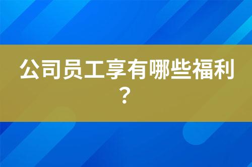 公司員工享有哪些福利？