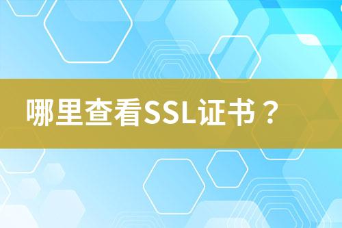 哪里查看SSL證書？