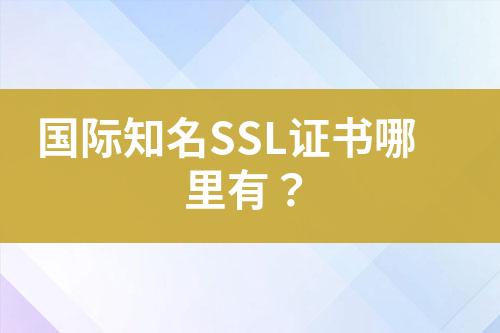 國(guó)際知名SSL證書哪里有？