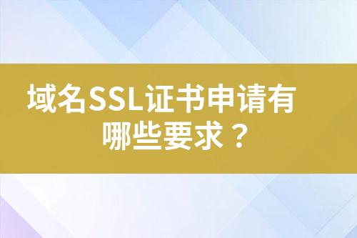 域名SSL證書申請有哪些要求？