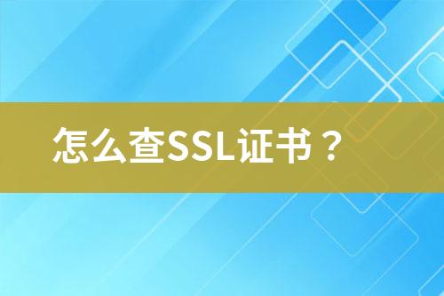 怎么查SSL證書？