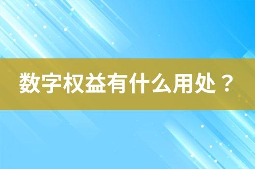 數(shù)字權益有什么用處？