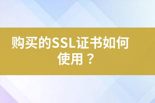 購買的SSL證書如何使用？